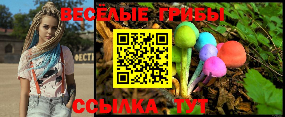 Королёв  Псилоцибиновые грибы Psilocybe  Псилоцибиновые грибы мухоморы  Вход с VPN 