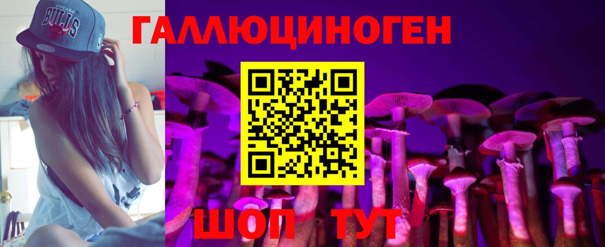 Галлюциногенные грибы Cubensis Королёв